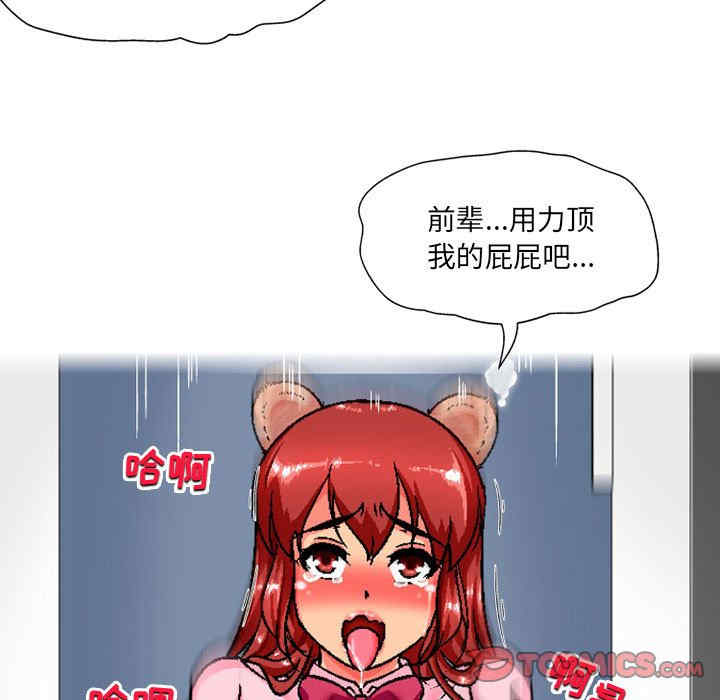 上司的地雷别乱踩/上司的尾巴摸不得