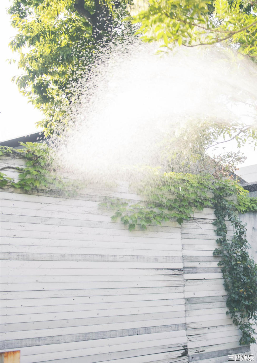 新井椎夏1ST写真集《うれしいな》高清全本