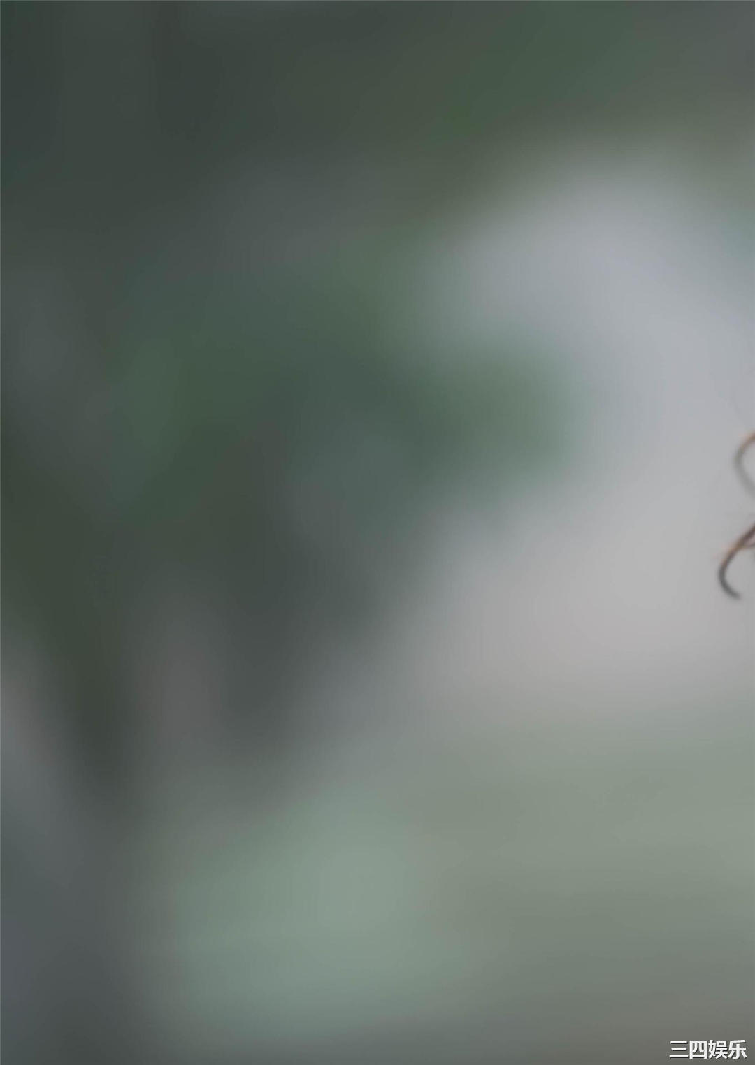 新井椎夏1ST写真集《うれしいな》高清全本