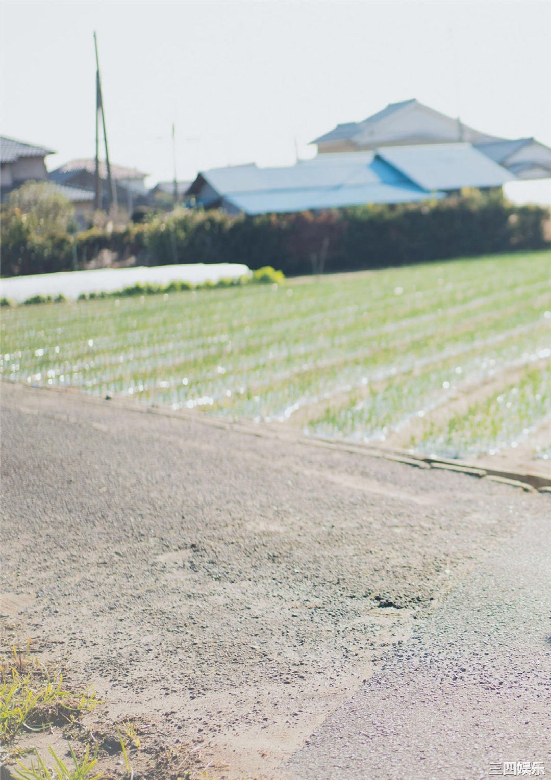 黑崎菜菜子写真集《キミ想うキセツ。》高清全本