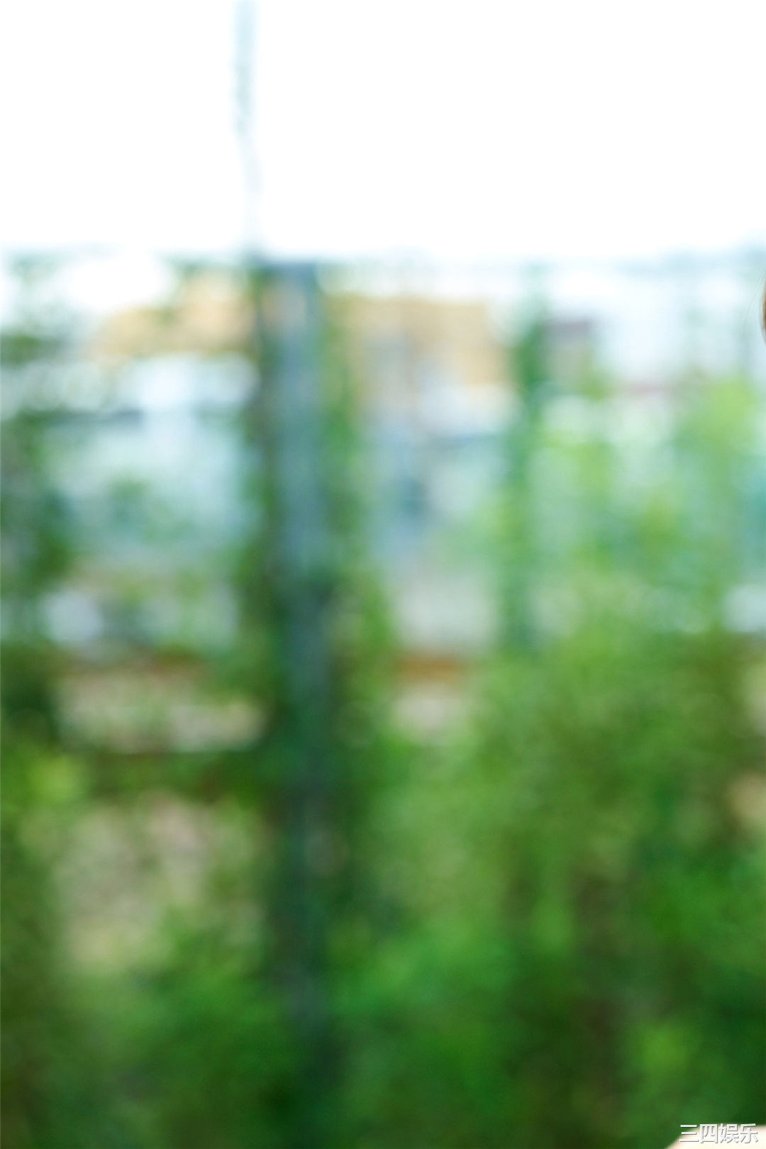 黑崎菜菜子写真集《18歳、原石、輝く》高清全本