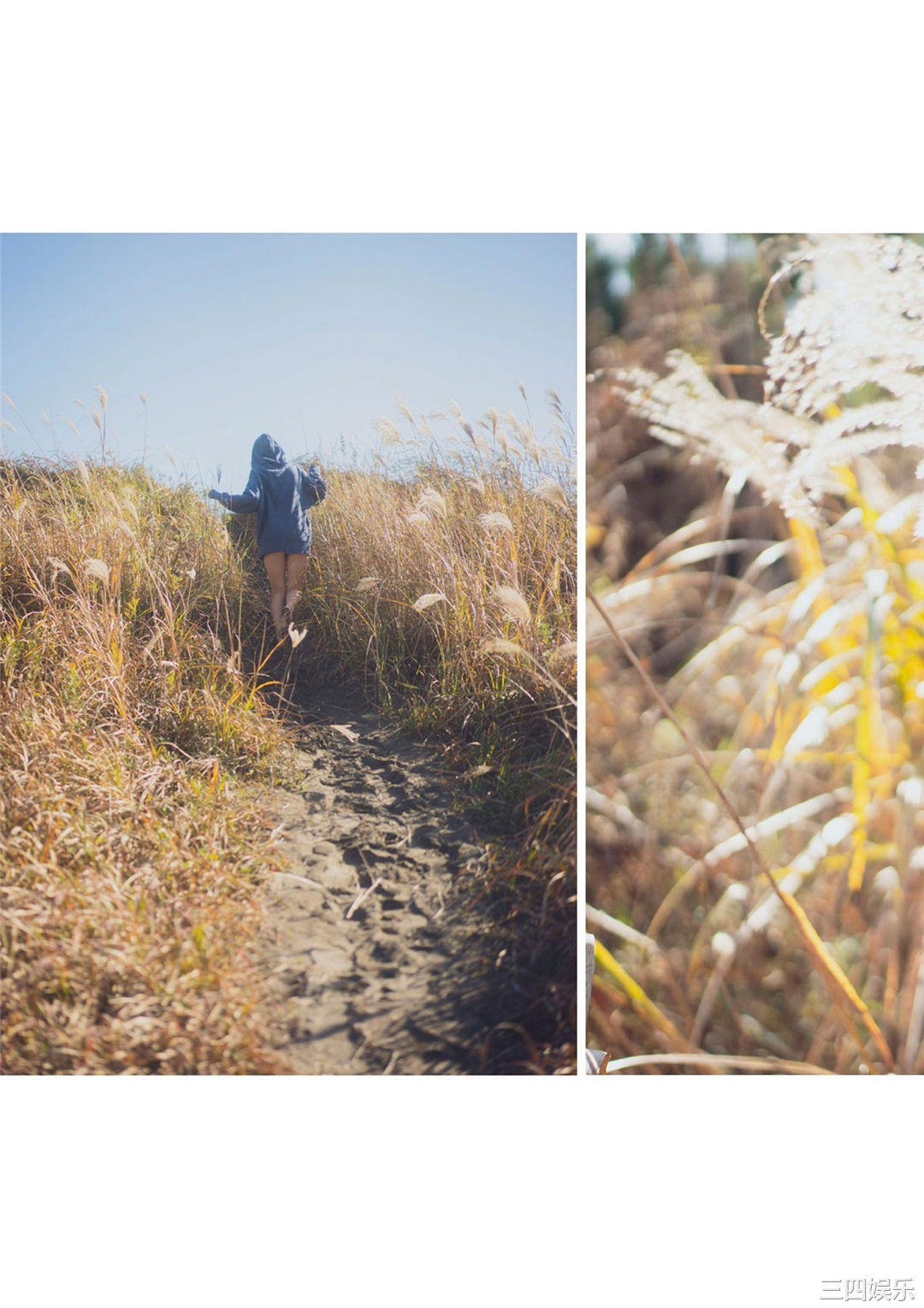 黑崎菜菜子写真集《キミ想うキセツ。》高清全本