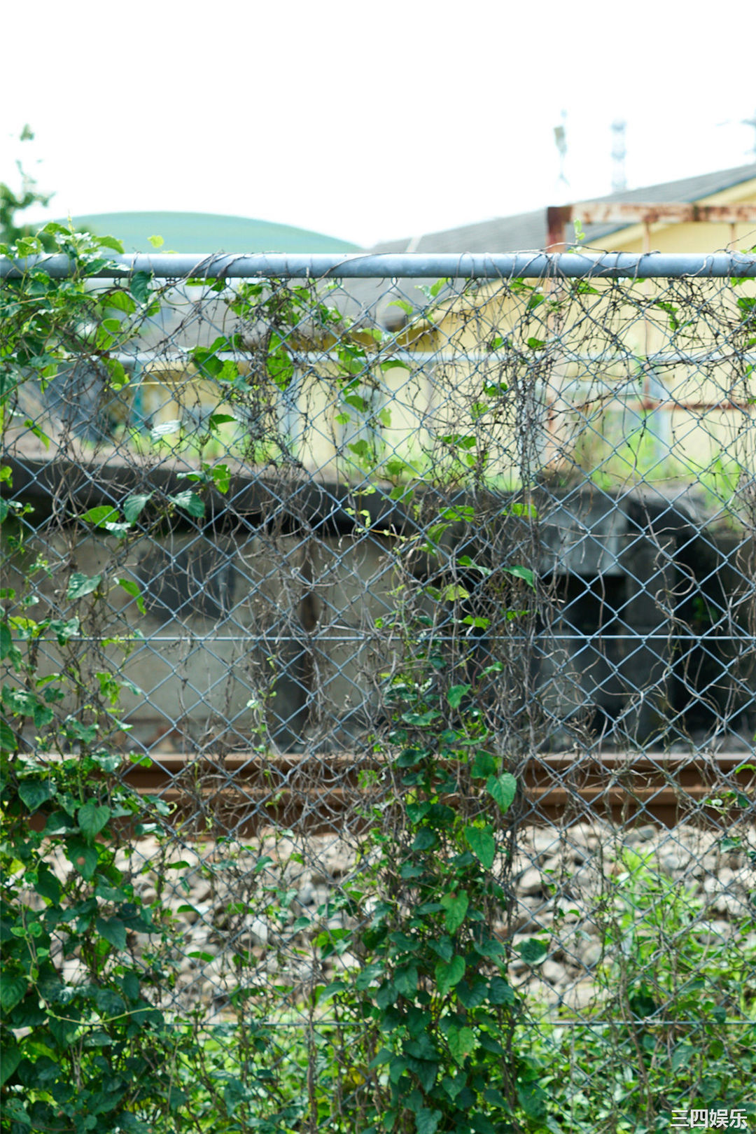 黑崎菜菜子写真集《18歳、原石、輝く》高清全本