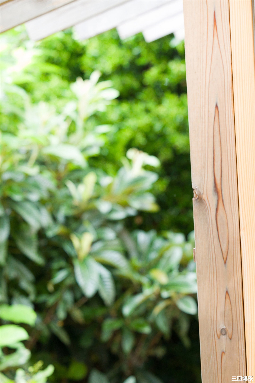 志田琥珀写真集《海街の放課後》高清全本