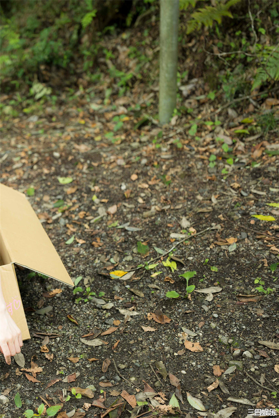 森ふう花写真集《おんがえし。》高清全本