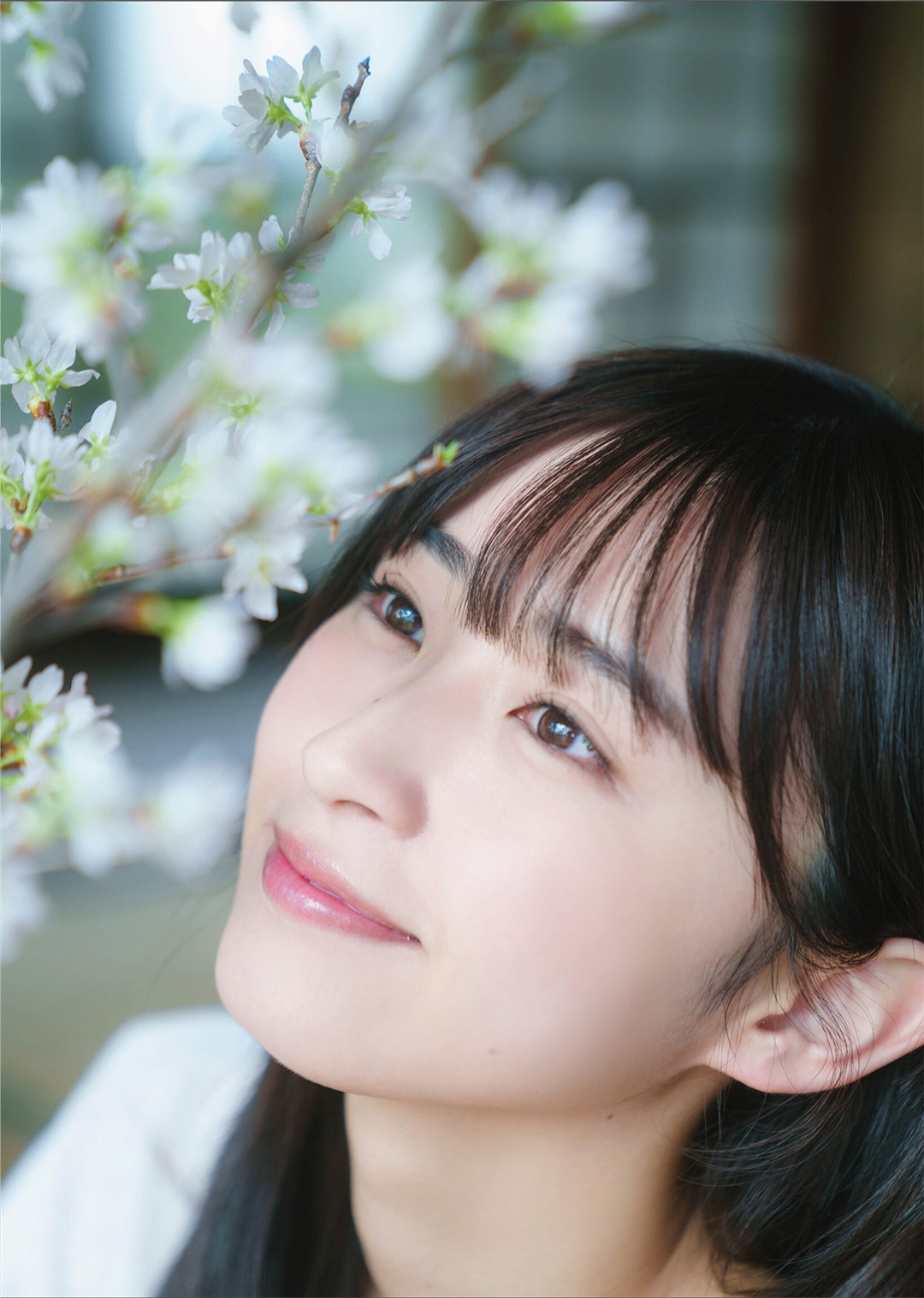 松本日向写真集《陽のあたる場所》高清全本