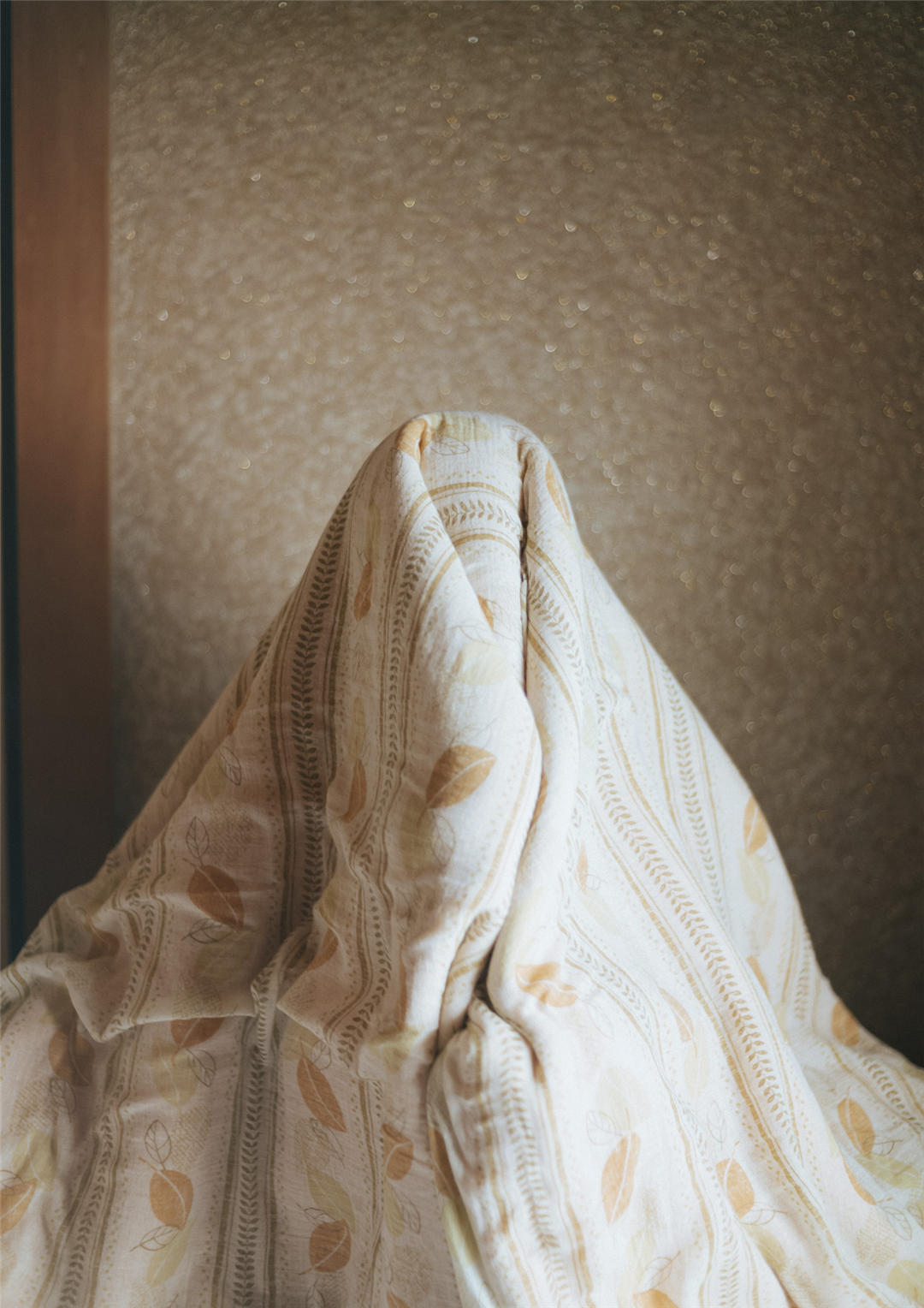 船井美玖写真集《あの夢に向かって。》高清全本