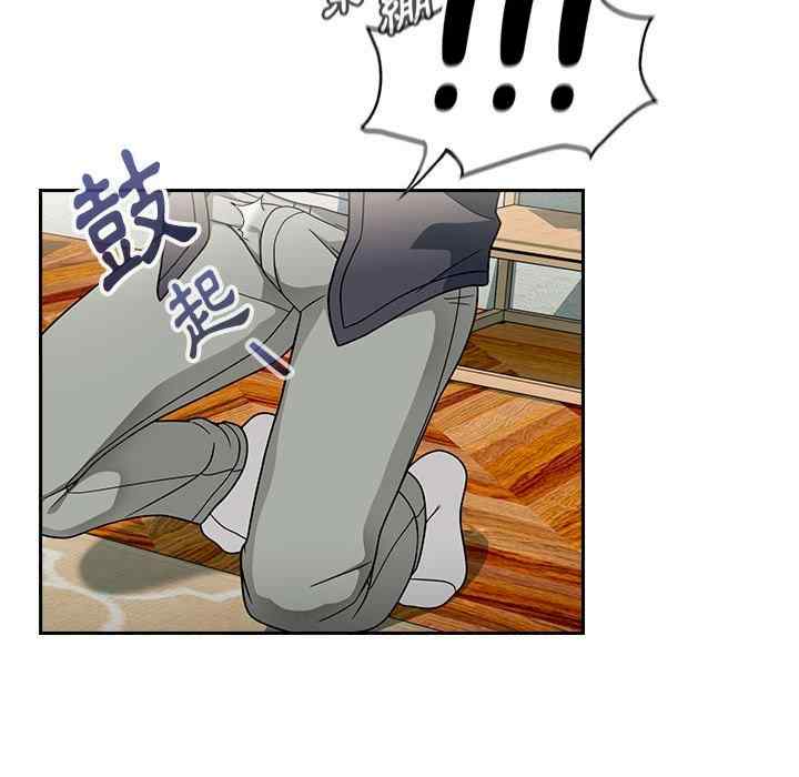 欢迎加入粉丝团/粉丝招募中