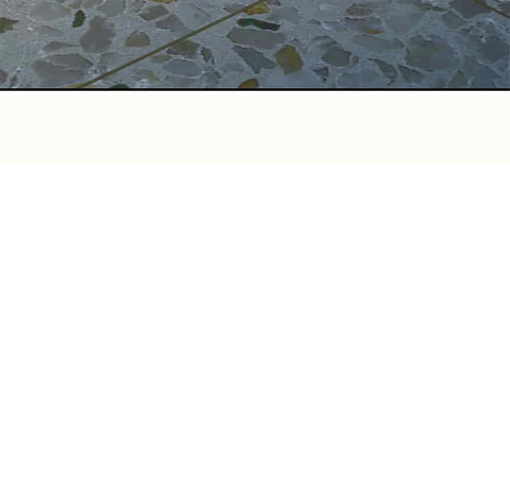 我的老婆是老师/别叫我老师