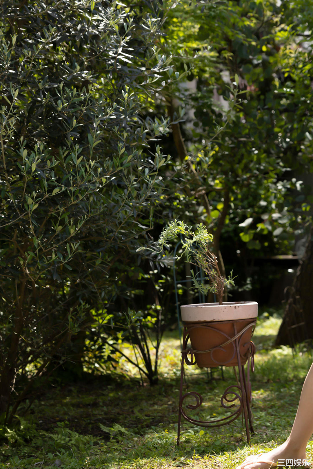 桥本つむぎ写真集《大阪一は日本一！》高清全本