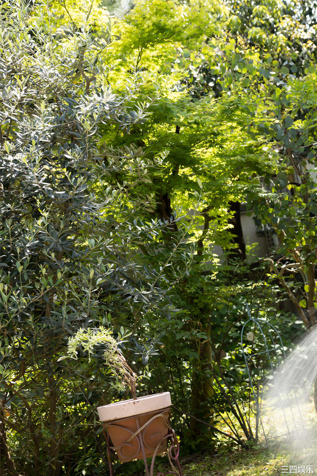 桥本つむぎ写真集《大阪一は日本一！》高清全本