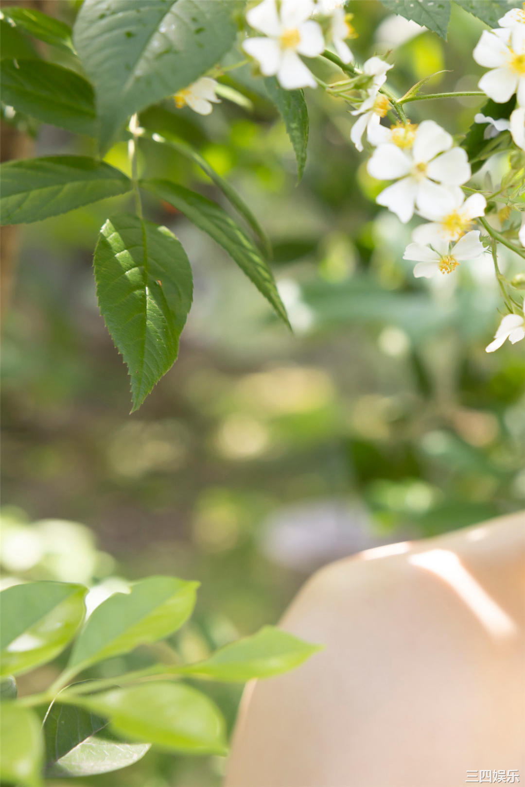 桥本つむぎ写真集《大阪一は日本一！》高清全本