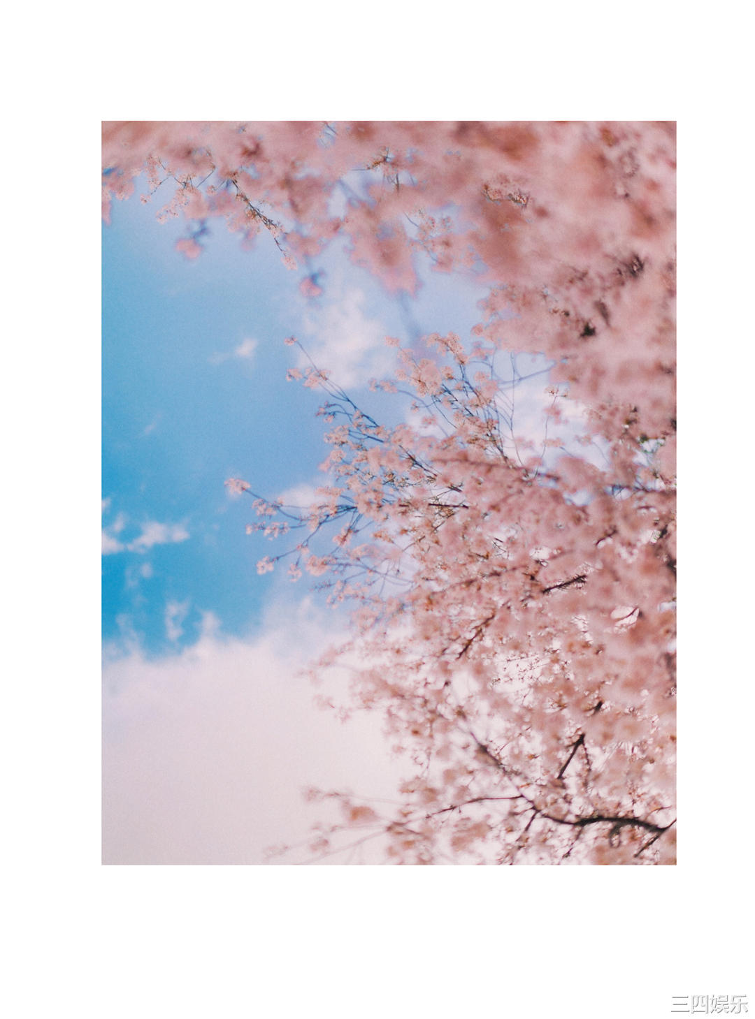 上村雏乃1ST写真集《そのままで》高清全本