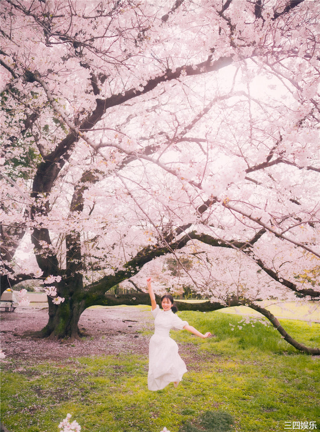 上村雏乃1ST写真集《そのままで》高清全本