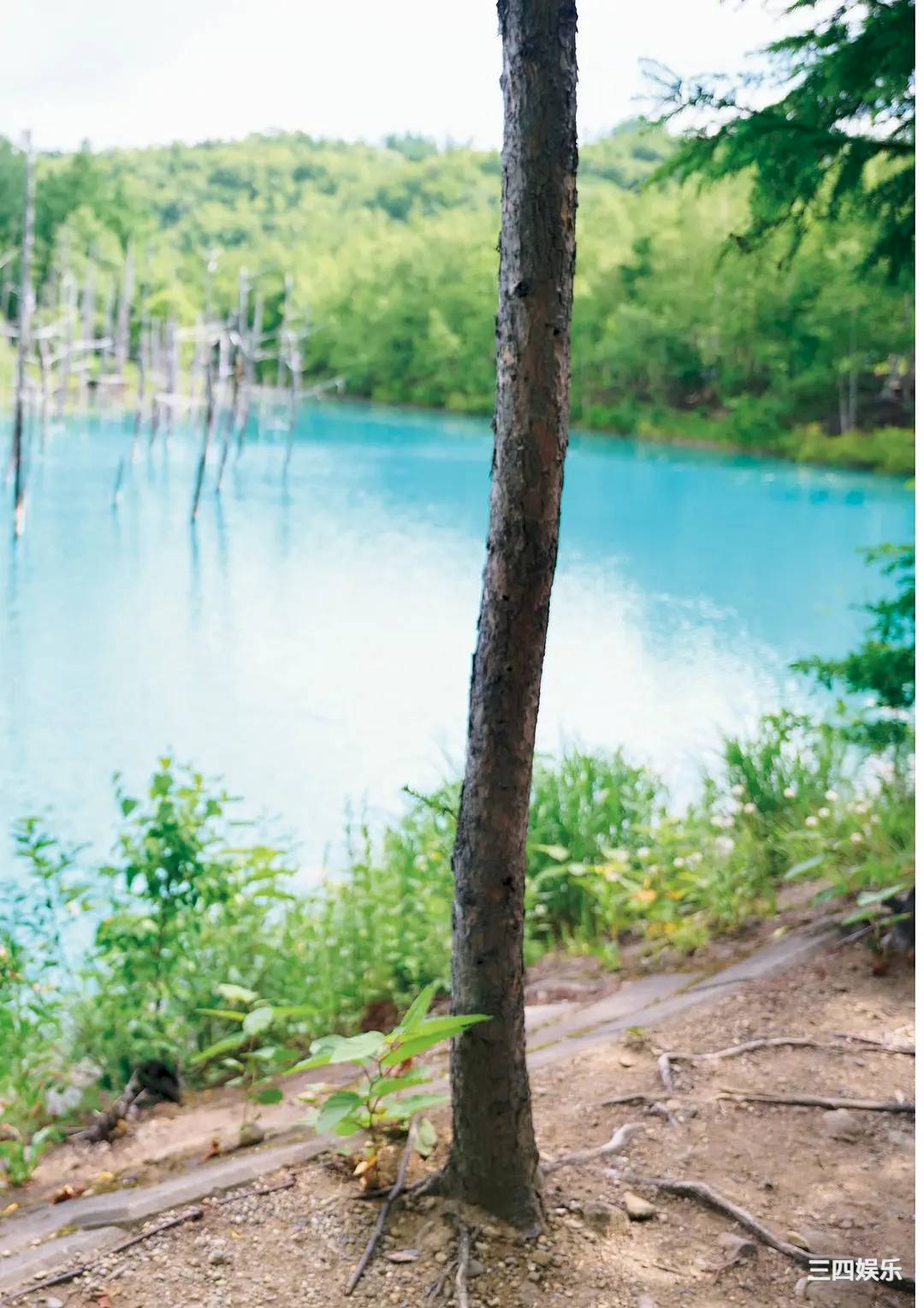 福本莉子写真集《Grace》高清全本