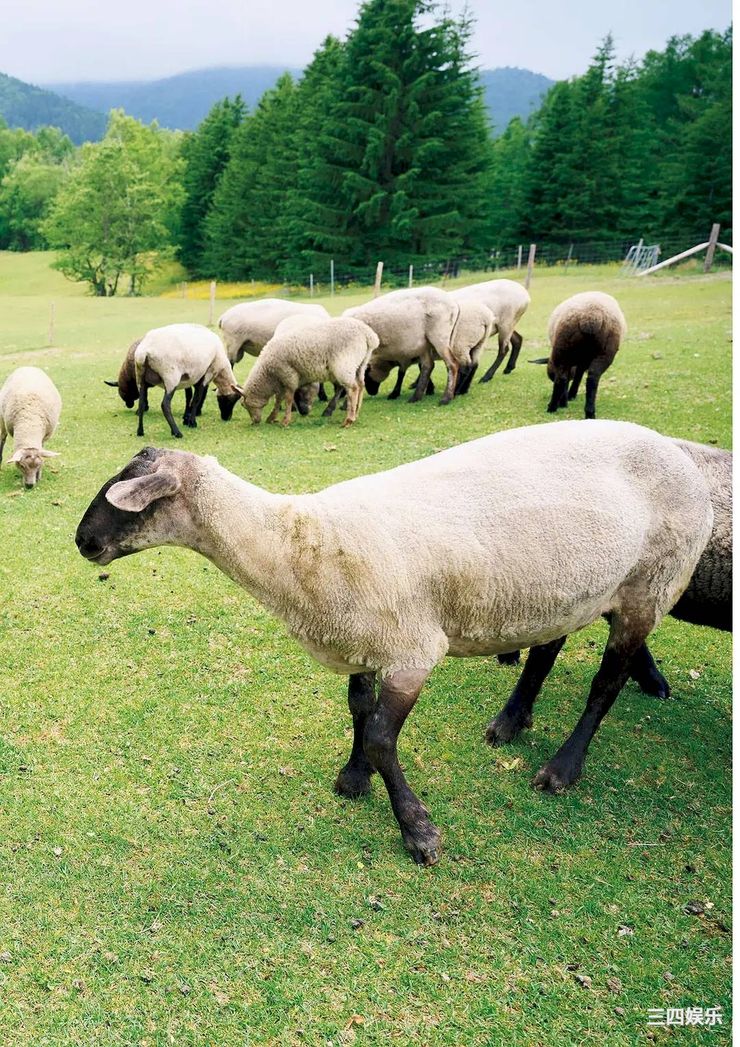 福本莉子写真集《Grace》高清全本
