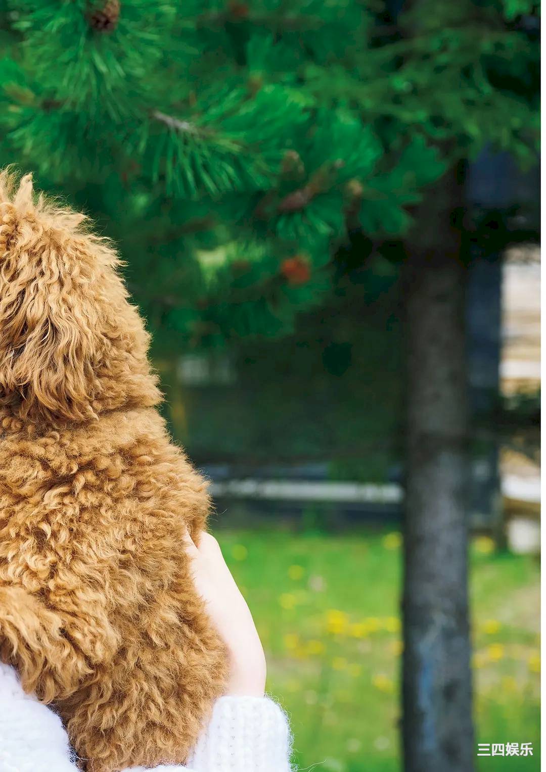 福本莉子写真集《Grace》高清全本