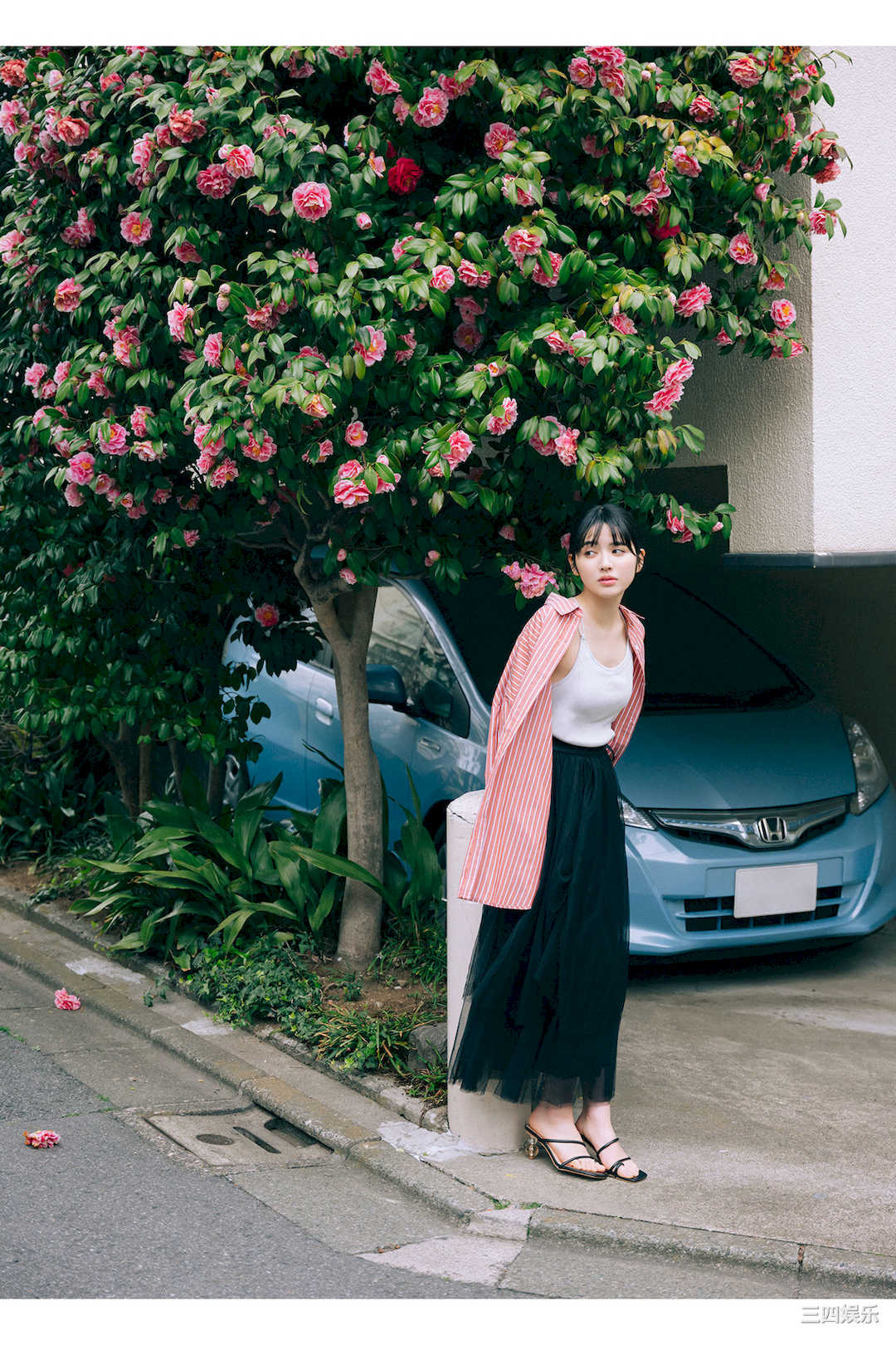 镇西寿寿歌写真集《WHITE graph デジタル写真集》高清全本