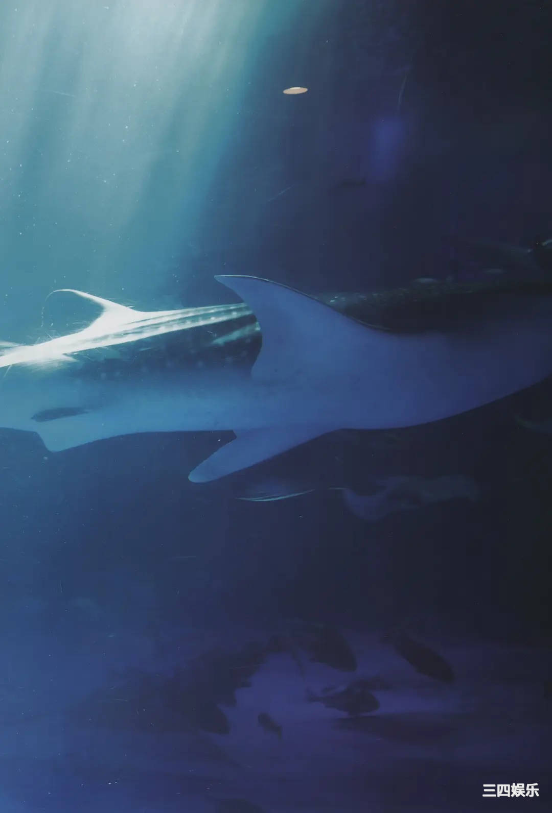 小泉萌香1ST写真集《きみやすみ》高清全本