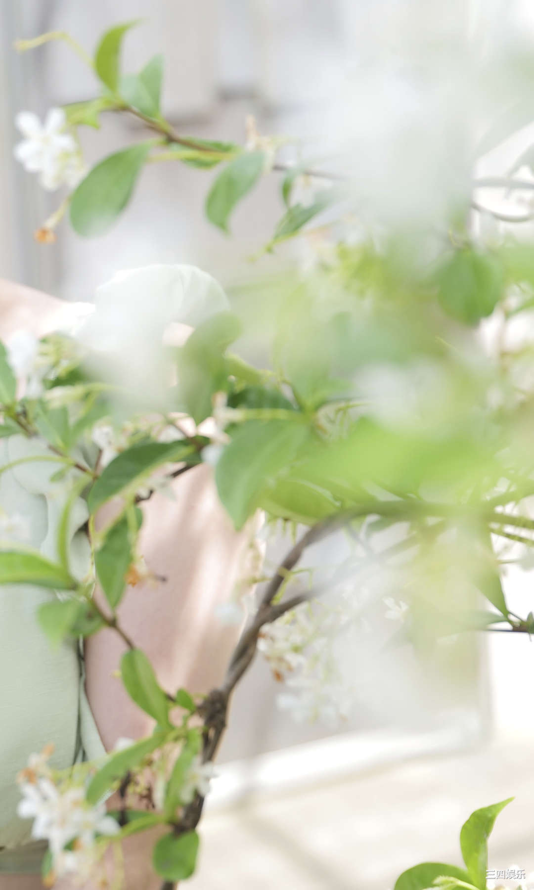 亚咲花写真集《太陽が教えてくれた》高清全本