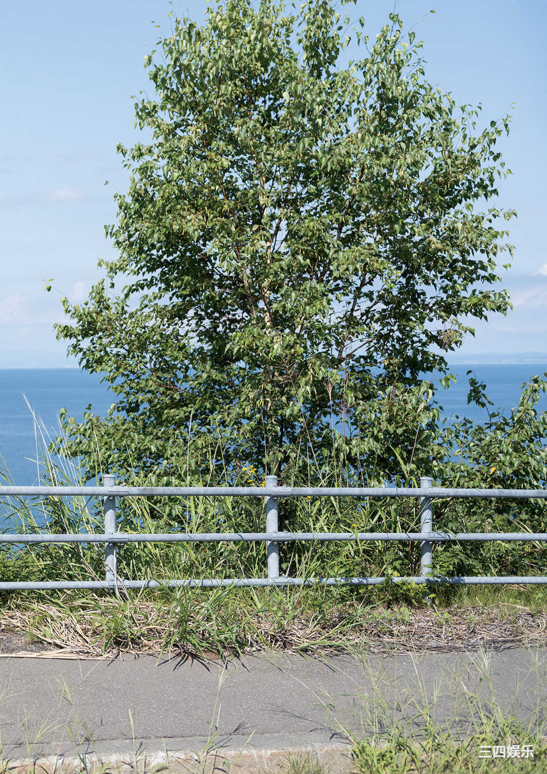 岬なこ1ST写真集《なこのとなり》高清全本