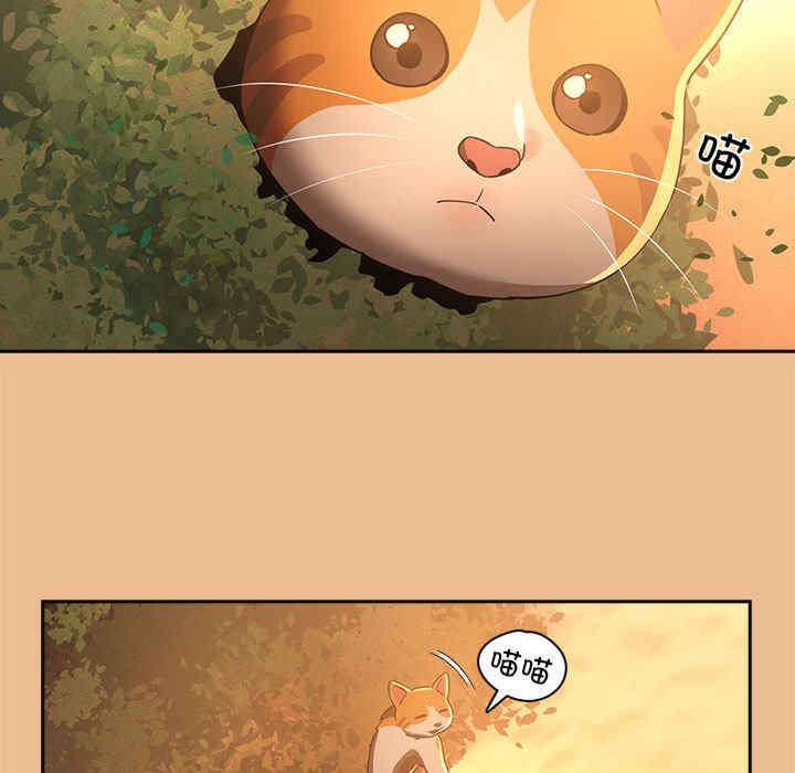 疫情期间的家教生活/疫情下的家教生活