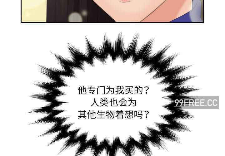 我的专属娃娃/我的完美娃娃