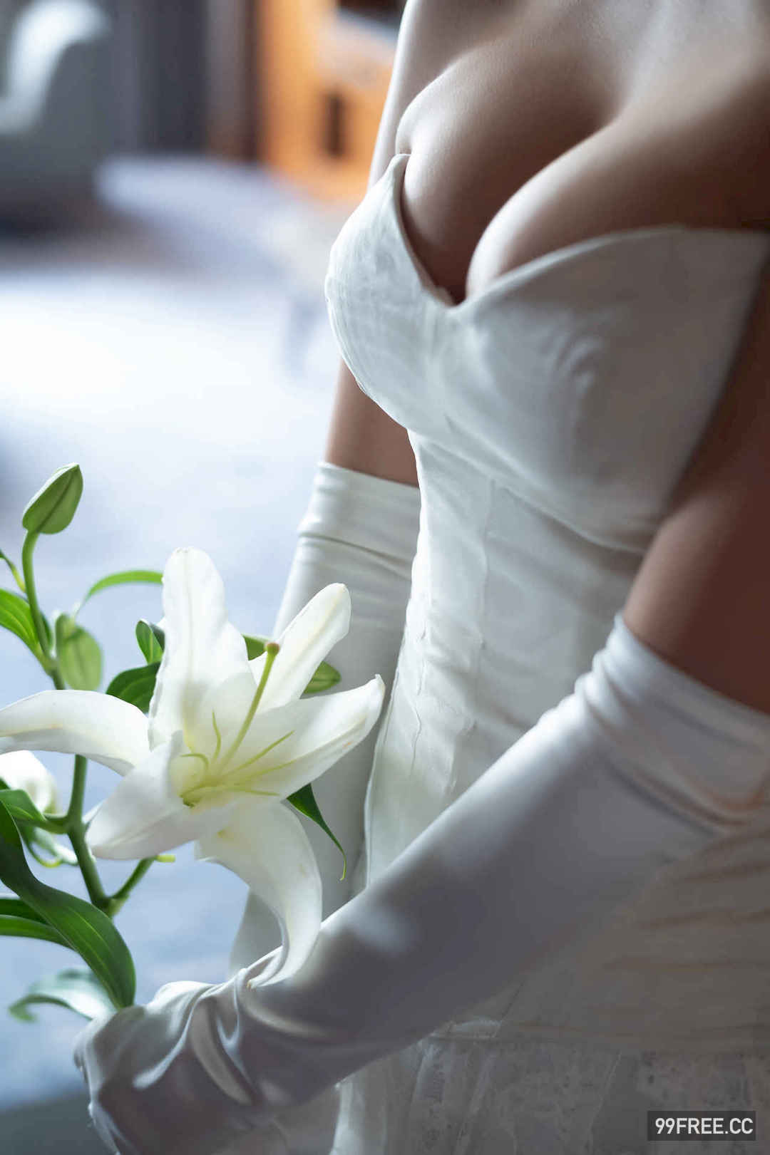 丰田露娜写真集《グレート・ギャツビー》高清全本