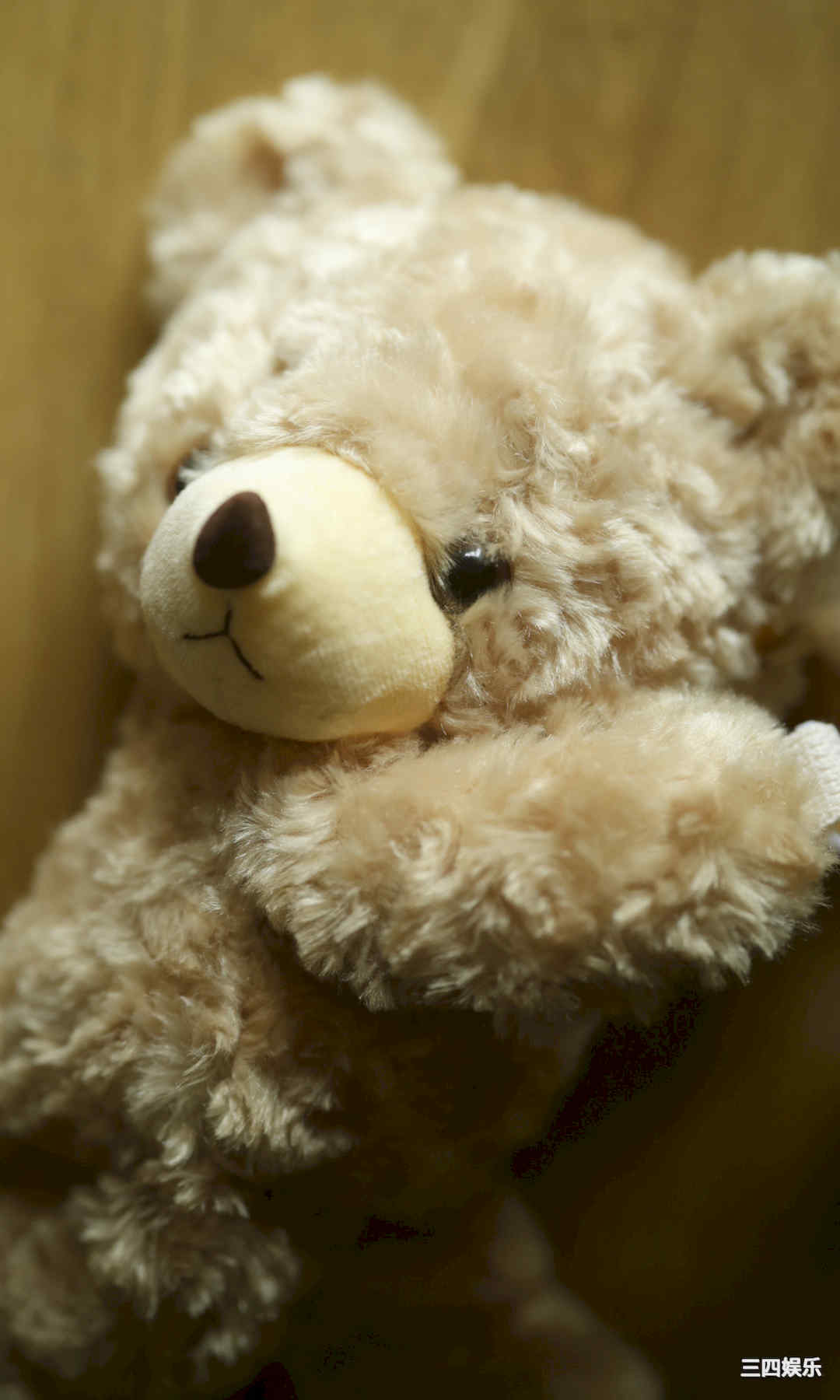 小此木流花写真集《るーるるの大冒険》高清全本