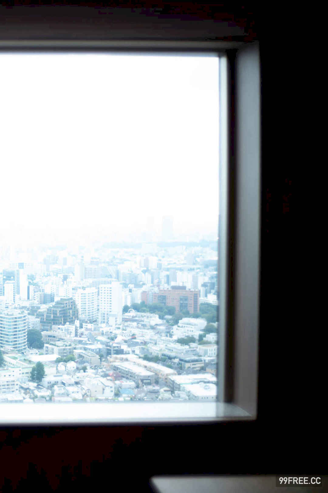 丰田露娜写真集《グレート・ギャツビー》高清全本