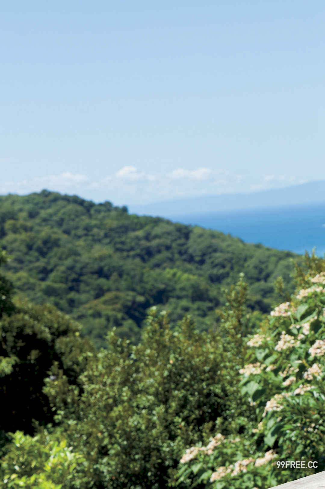 菊地姬奈写真集《キミと過ごした夏 VOL.2》高清全本