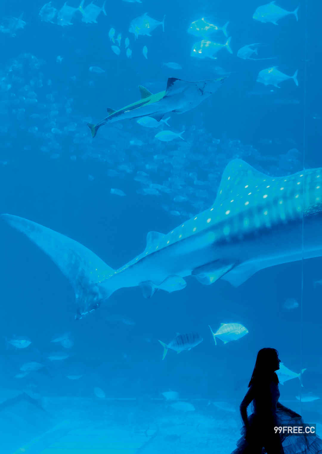 志田音音写真集《ねぇね～》高清全本