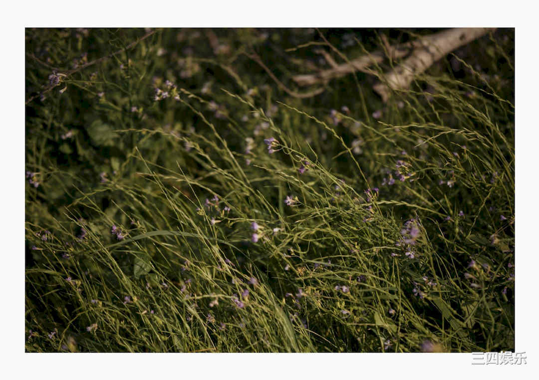 红羽りお写真集《ふれたくなる？》高清全本