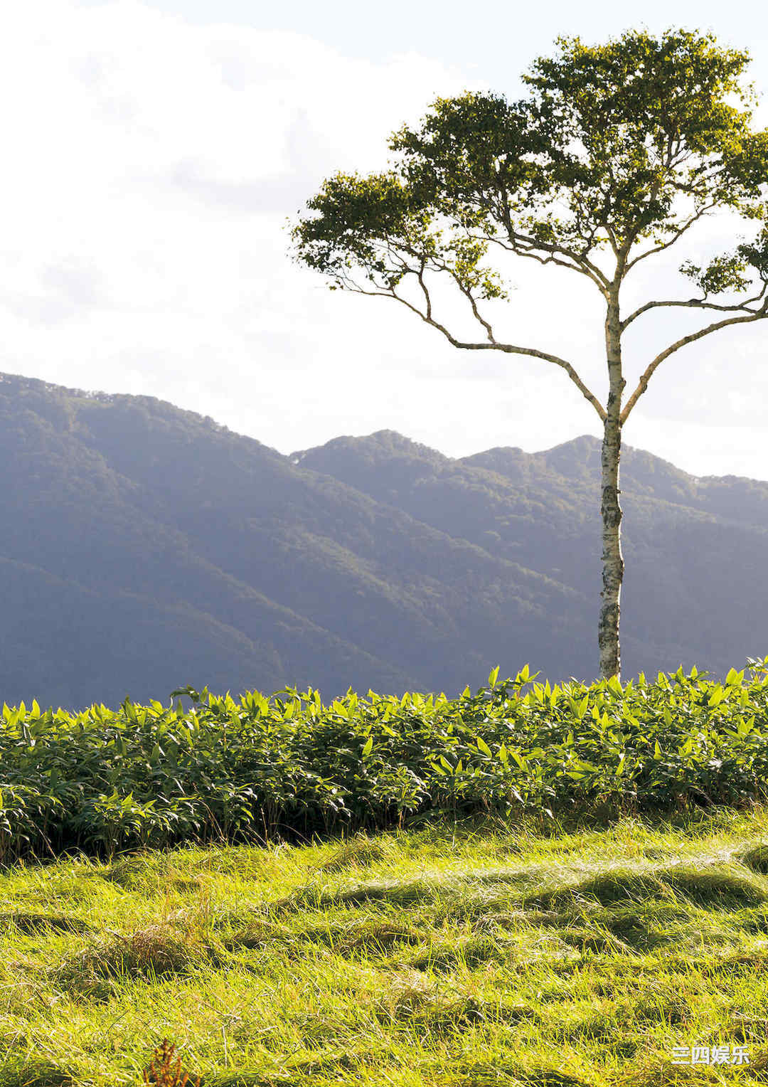 山田南实写真集《Ｄｅｐａｒｔｕｒｅ》高清全本