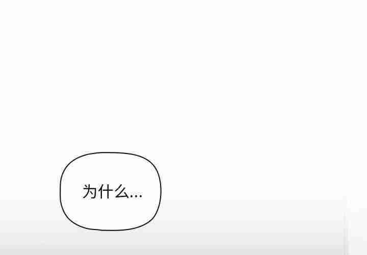 欢迎加入粉丝团/粉丝招募中