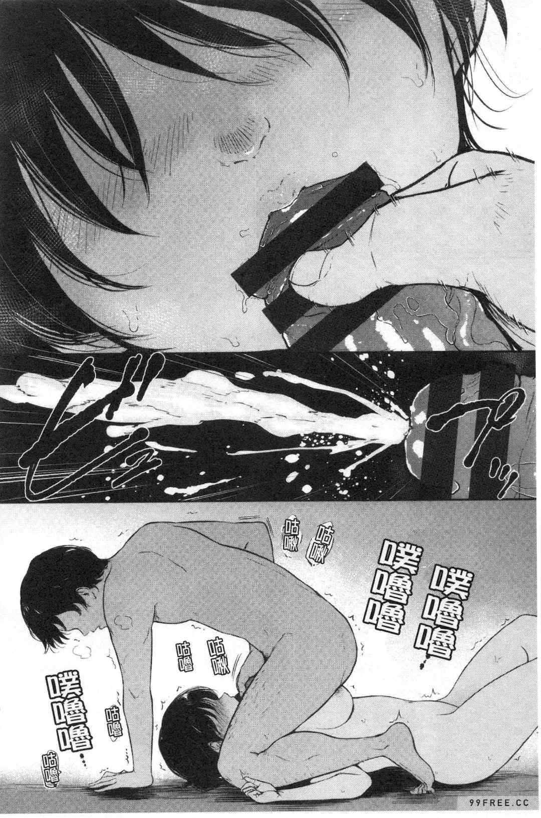 [ビフィダス] 交わりの宿