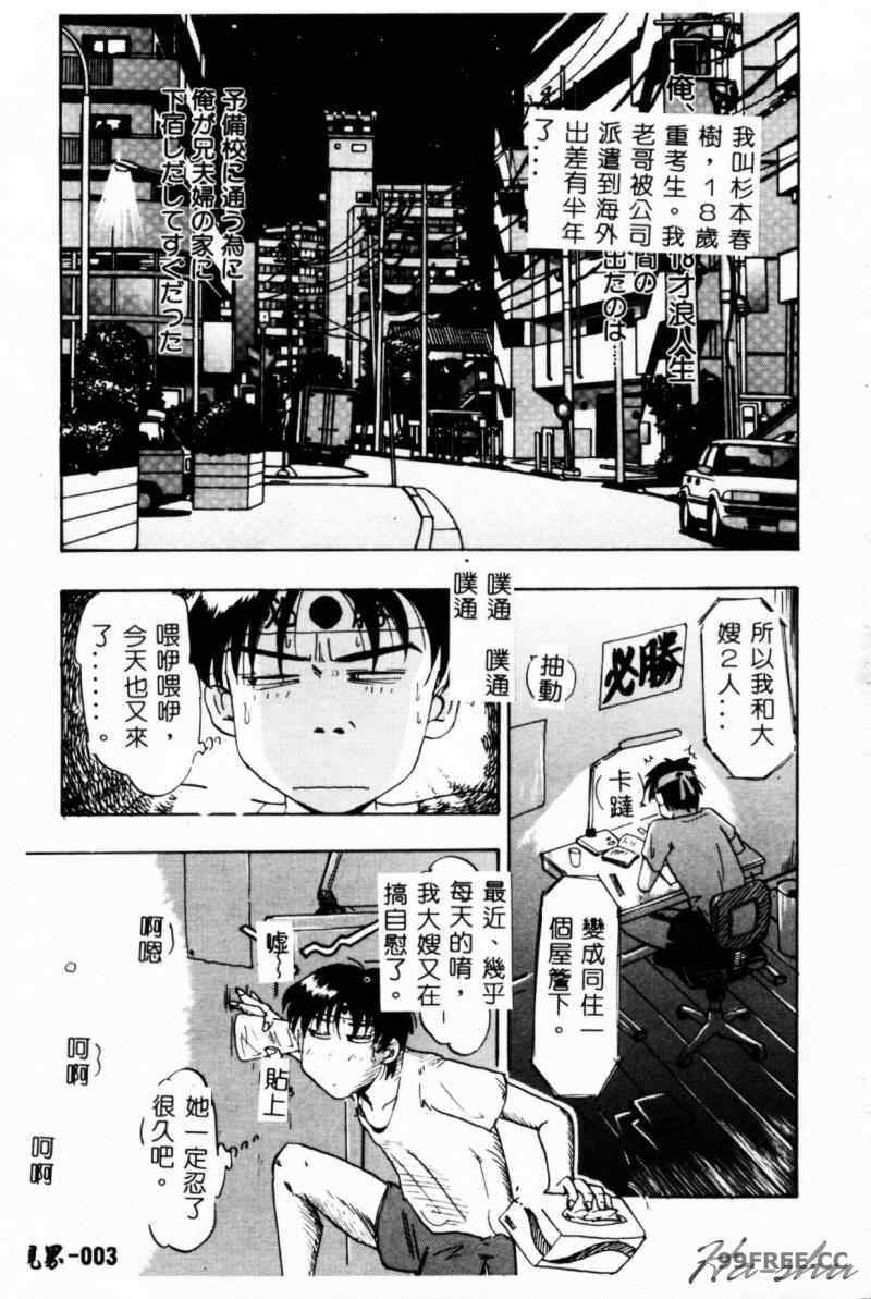 [IDEA] 義姉～あね～