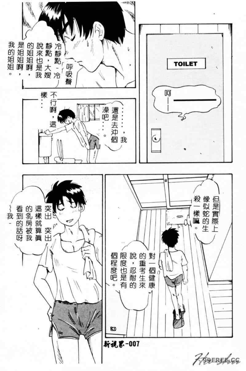 [IDEA] 義姉～あね～