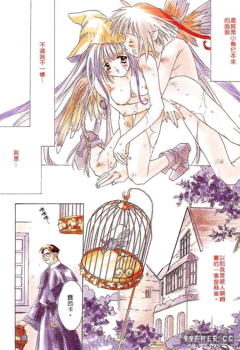 [ユナイト双児] 苺ババロア猫プリン