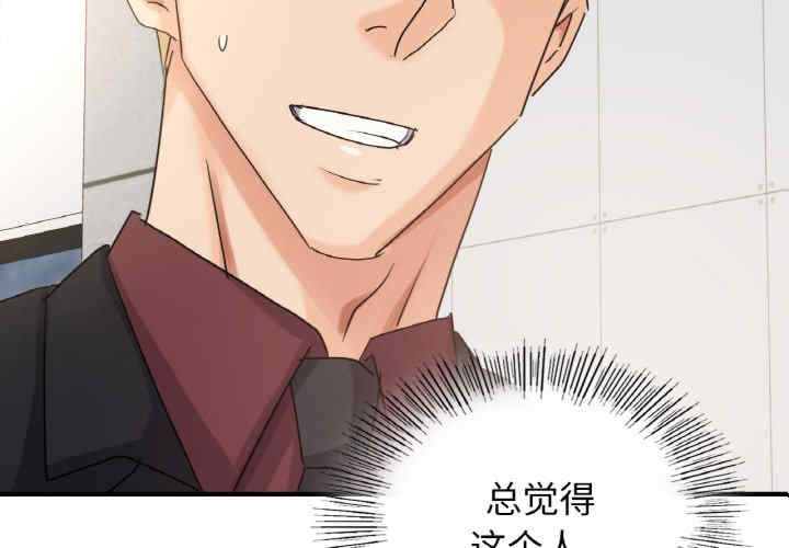 年轻代表/不该爱上你