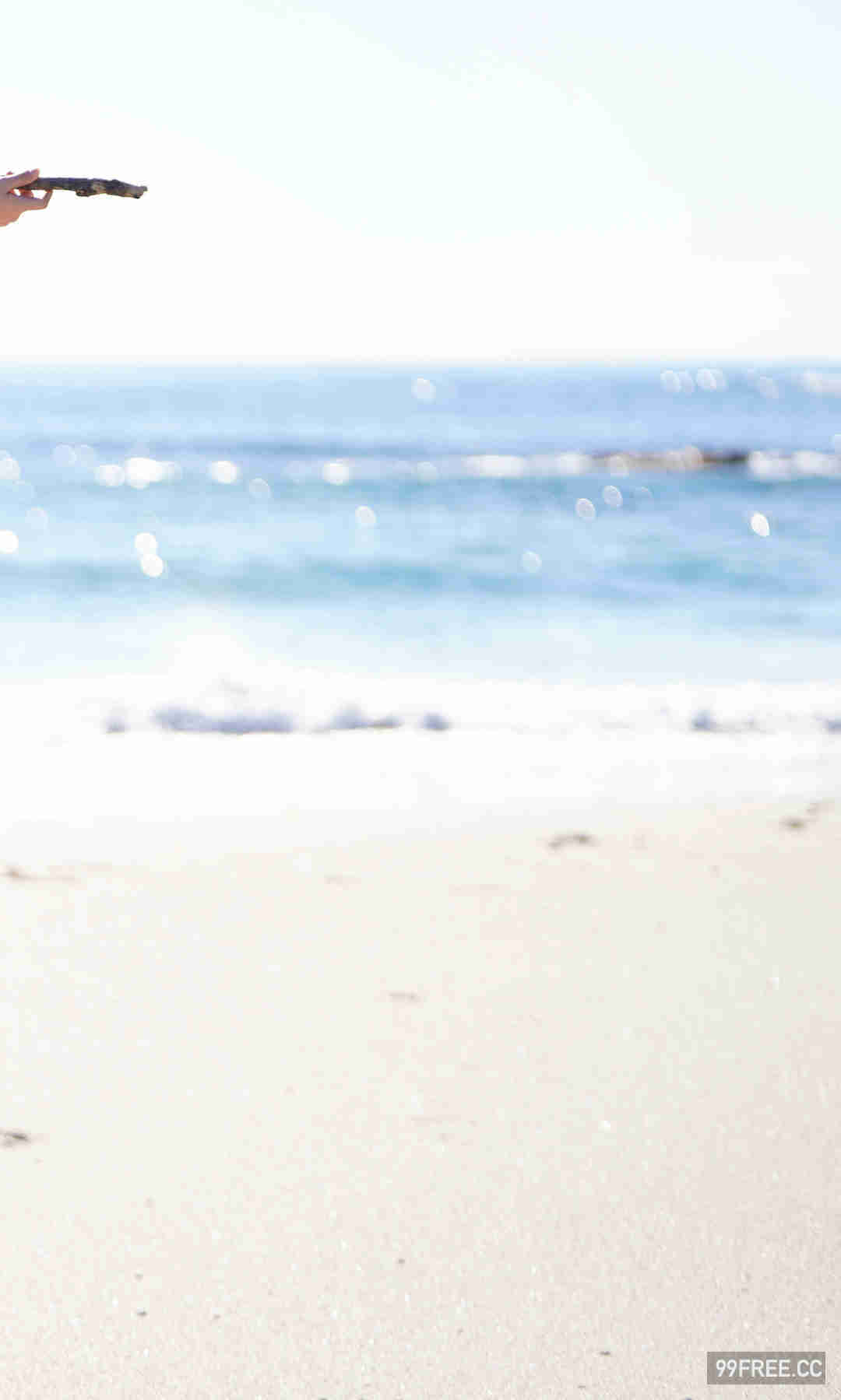 佐々木ほのか写真集《旅立ちの前に》高清全本