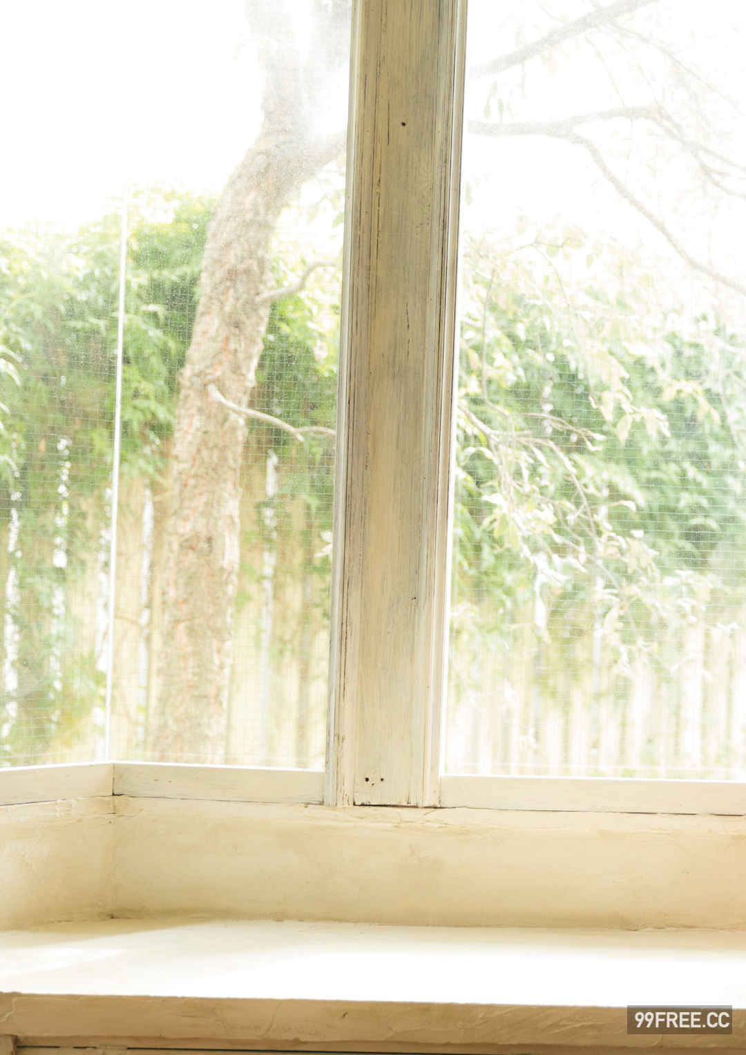 黑崎菜菜子写真集《おとな、ななこ。》高清全本