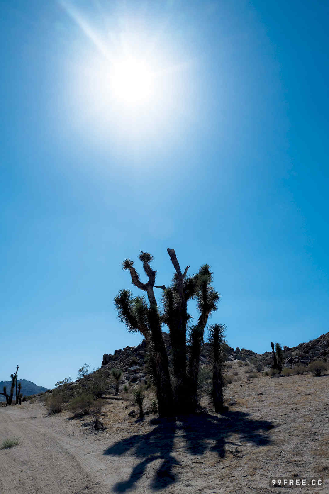 久松郁实写真集《LA》高清全本