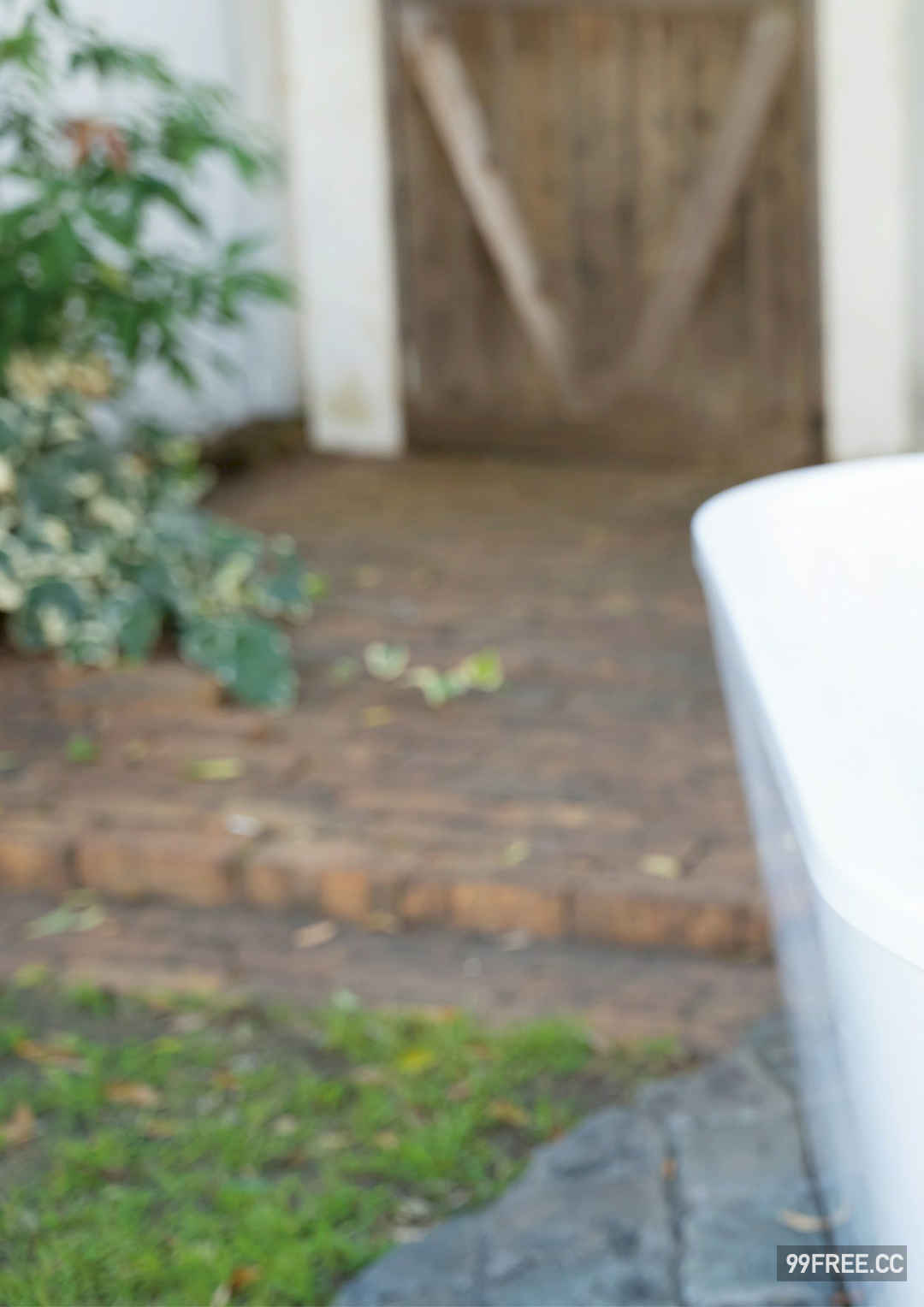 蛭田爱梨写真集《Spark of youth》高清全本