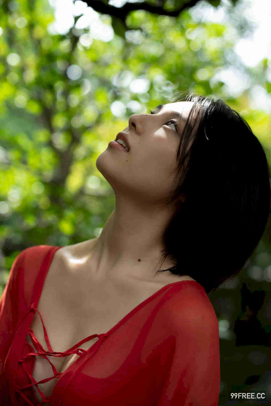 相乐伊织写真集《蜜のあわれ》高清全本