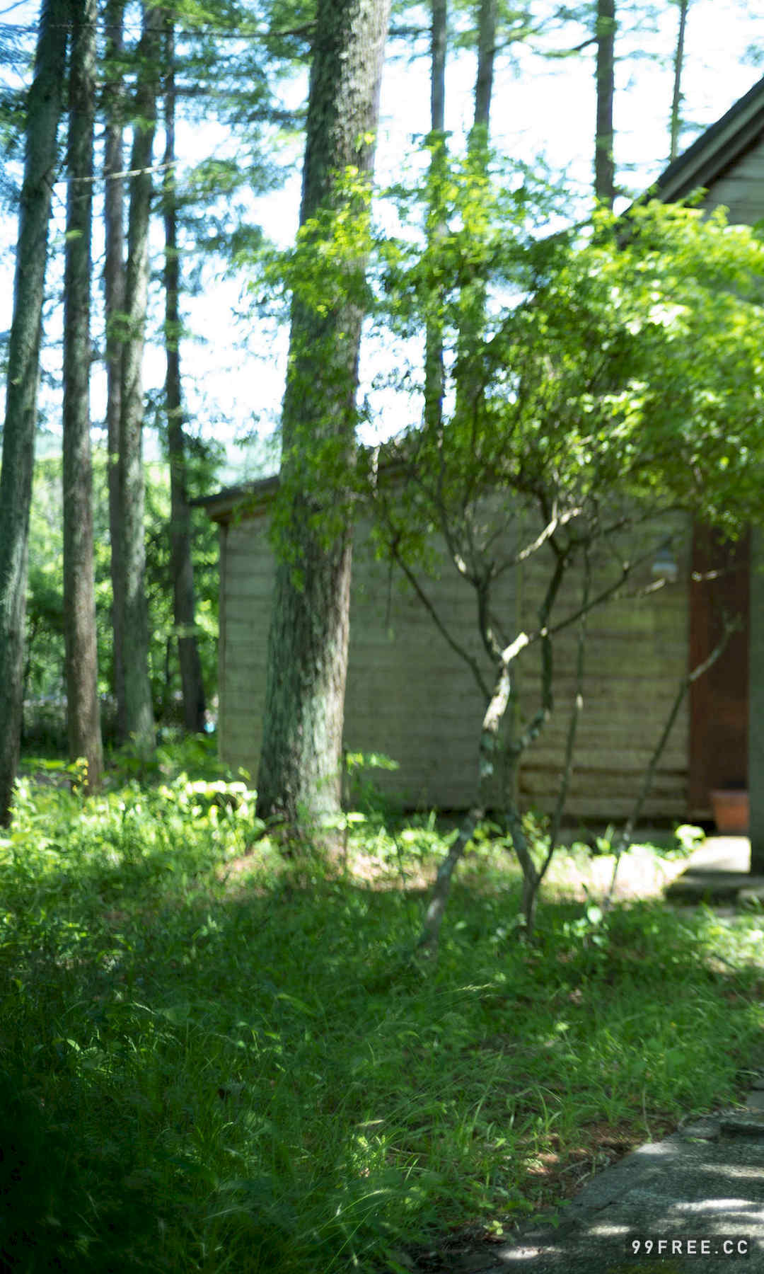 藤咲凪写真集《ここにいる。》高清全本