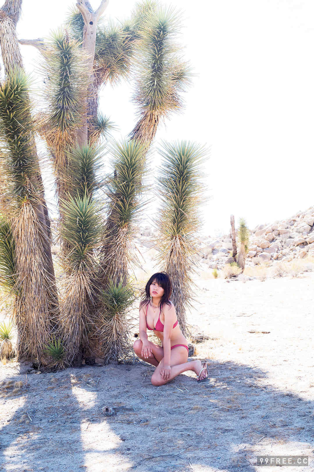 久松郁实写真集《LA》高清全本