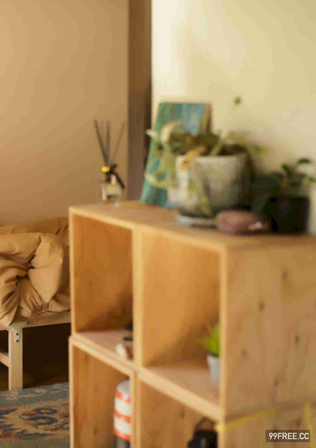 峰岛こまき写真集《いつだってデート日和》高清全本