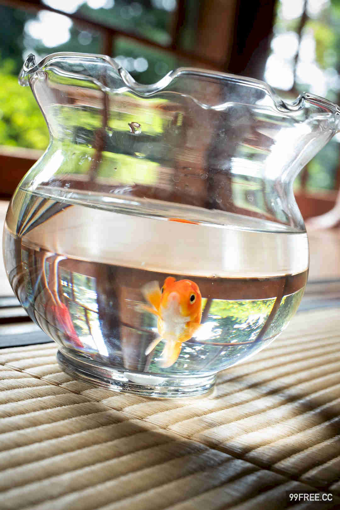 相乐伊织写真集《蜜のあわれ》高清全本