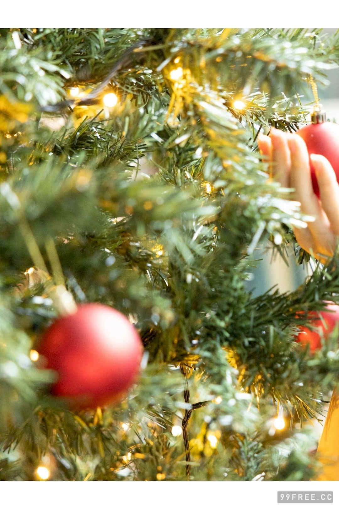 森ふう花&柊きき写真集《双子の秘め事》高清全本